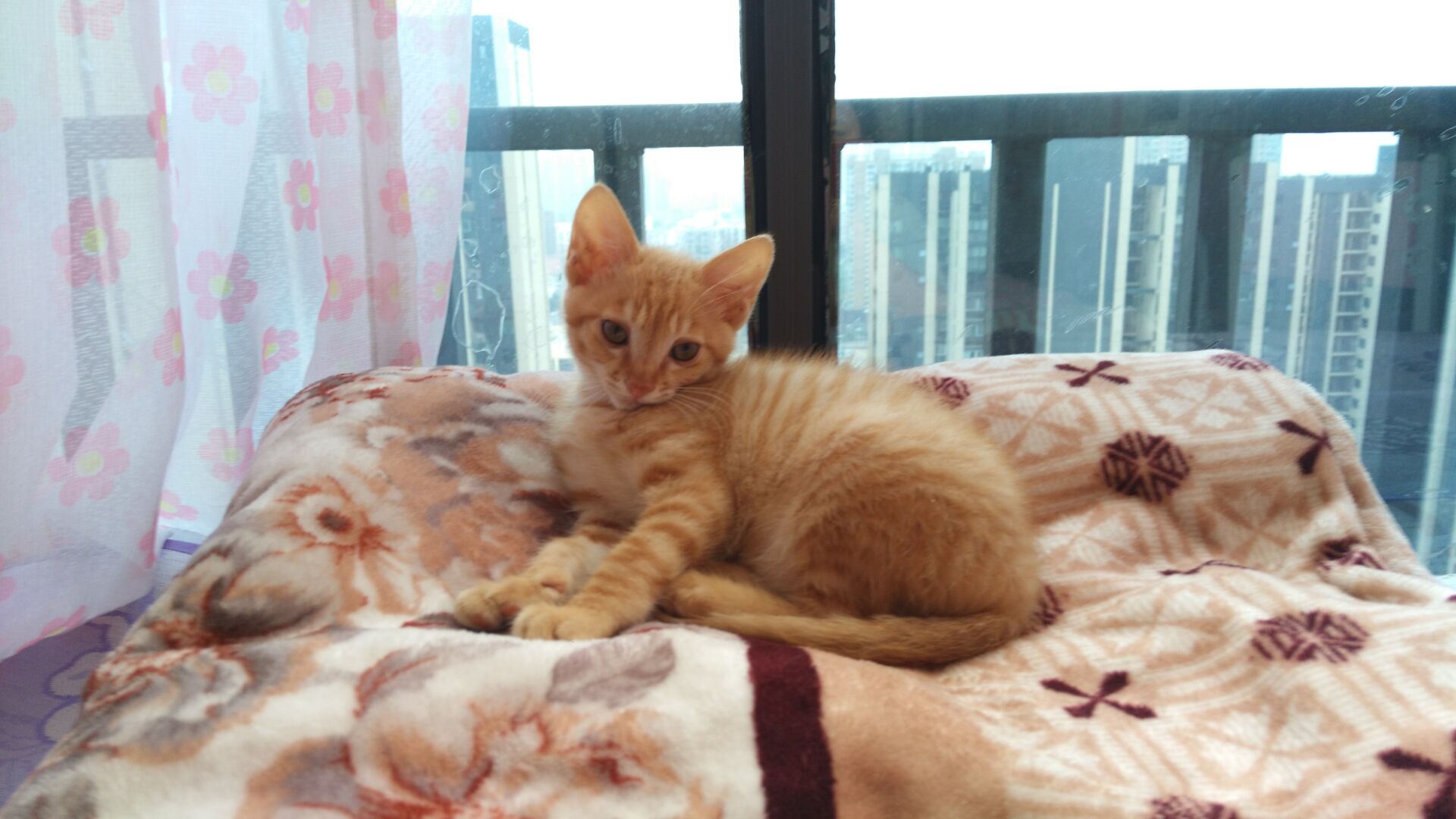 YANG_MOMO的个人主页（背景预览） - 主页背景设置 - 站酷设计师YANG_MOMO原创素材 - 站酷ZCOOL