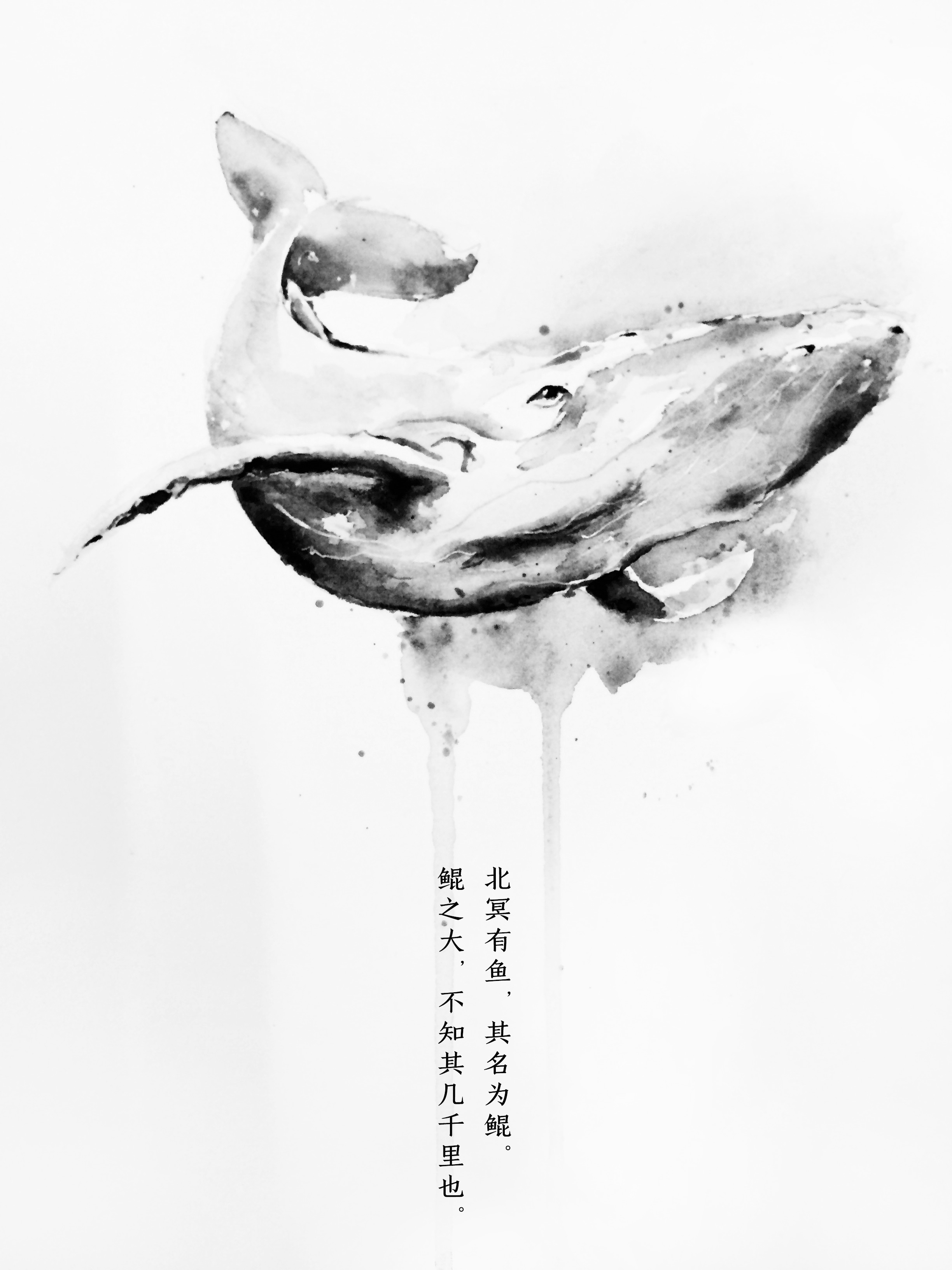 如果_设计的个人主页（背景预览） - 主页背景设置 - 站酷设计师如果_设计原创素材 - 站酷ZCOOL