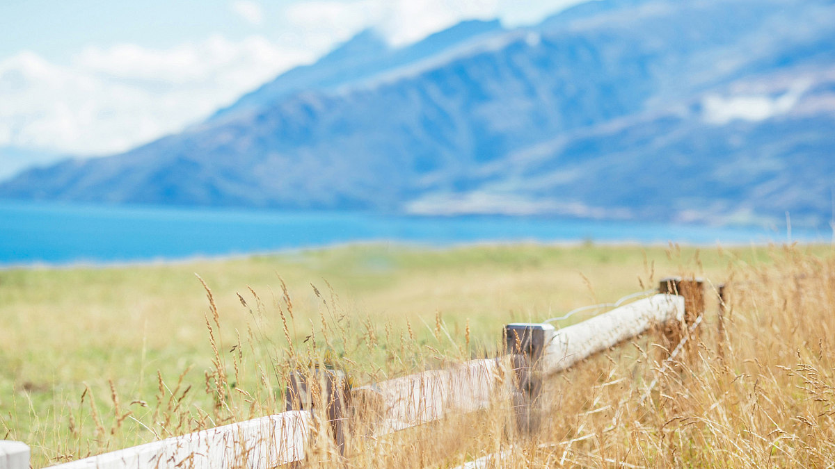 忘忧谷的个人主页（背景预览） - 主页背景设置 - 站酷设计师忘忧谷原创素材 - 站酷ZCOOL