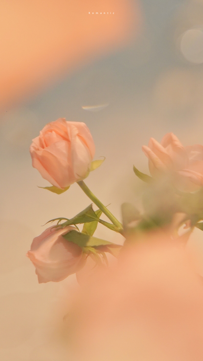 小芋爱设计的个人主页（背景预览） - 主页背景设置 - 站酷设计师小芋爱设计原创素材 - 站酷ZCOOL