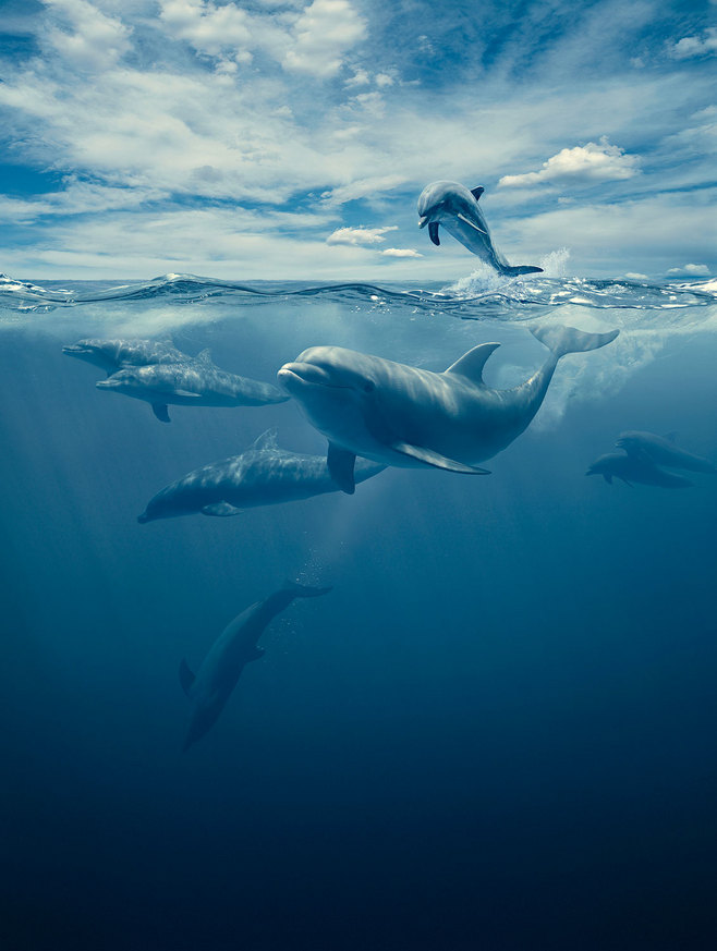 zhouwh的個(gè)人主頁（背景預(yù)覽） - 主頁背景設(shè)置 - 站酷設(shè)計(jì)師zhouwh原創(chuàng)素材 - 站酷ZCOOL