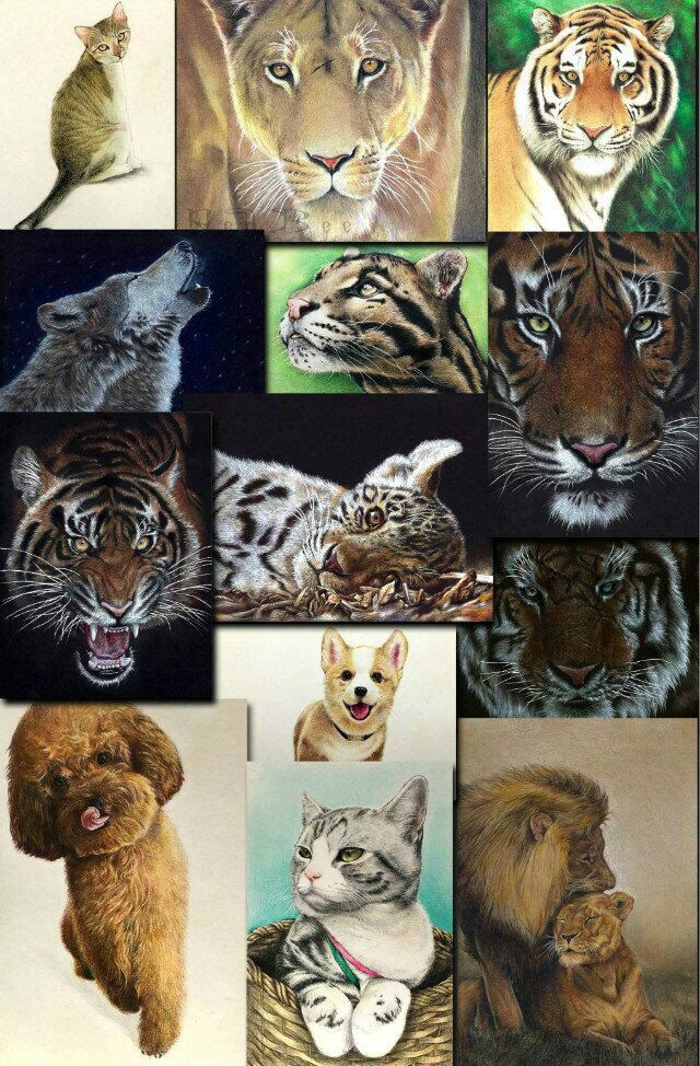 RedBee的个人主页（背景预览） - 主页背景设置 - 站酷设计师RedBee原创素材 - 站酷ZCOOL