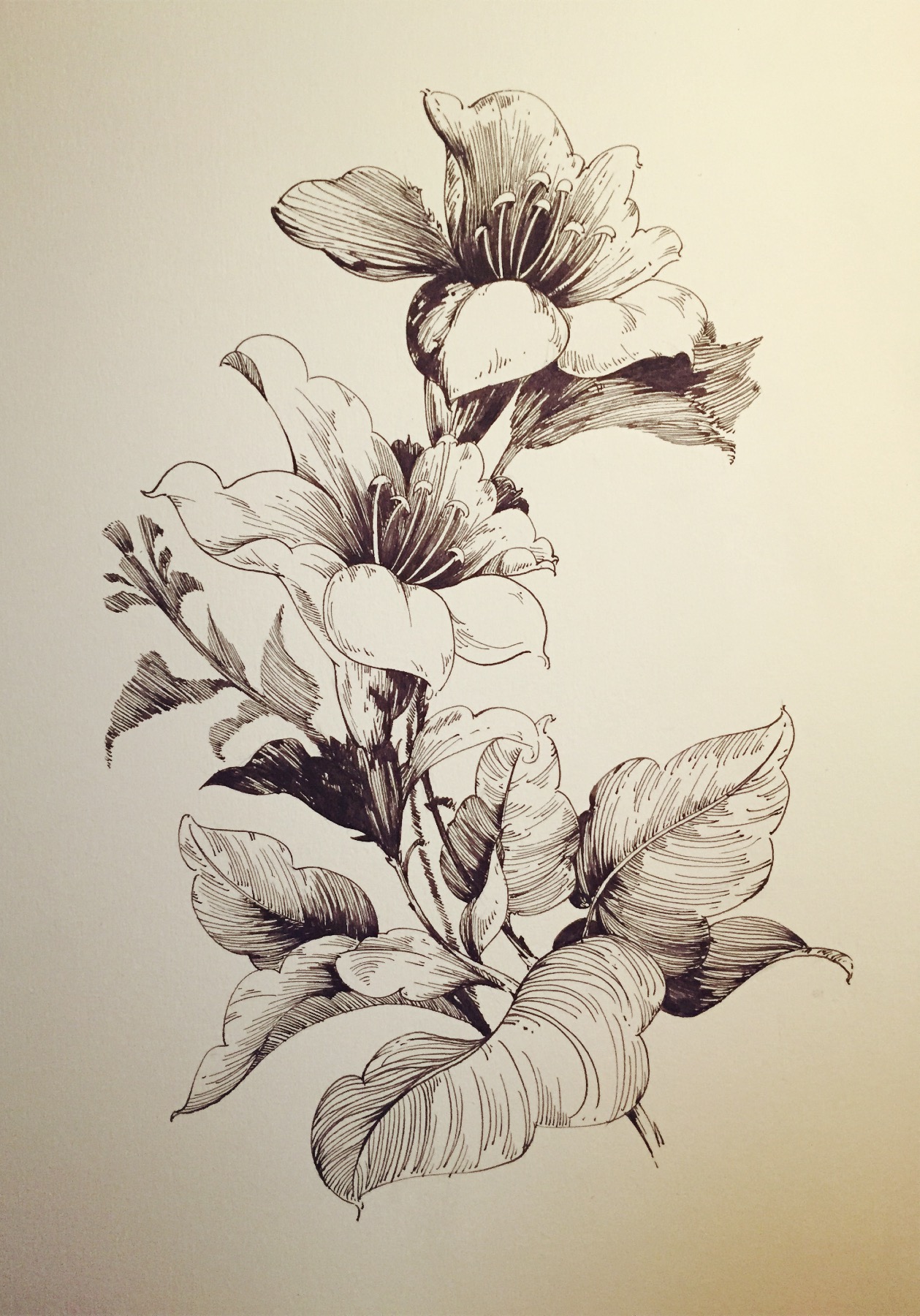 繁简品牌设计的个人主页（背景预览） - 主页背景设置 - 站酷设计师繁简品牌设计原创素材 - 站酷ZCOOL