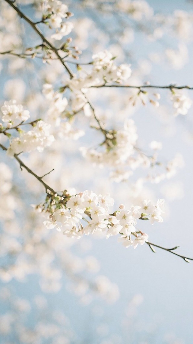 阿切啾YMY的个人主页（背景预览） - 主页背景设置 - 站酷设计师阿切啾YMY原创素材 - 站酷ZCOOL