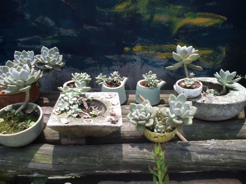 木土鹃的个人主页（背景预览） - 主页背景设置 - 站酷设计师木土鹃原创素材 - 站酷ZCOOL