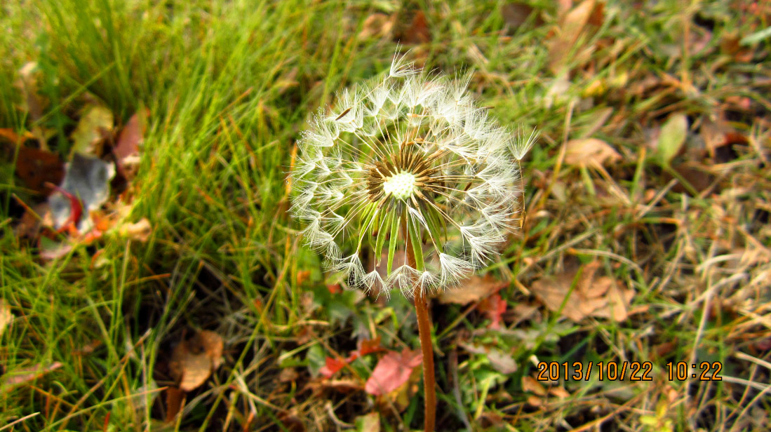 afu1988的个人主页（背景预览） - 主页背景设置 - 站酷设计师afu1988原创素材 - 站酷ZCOOL