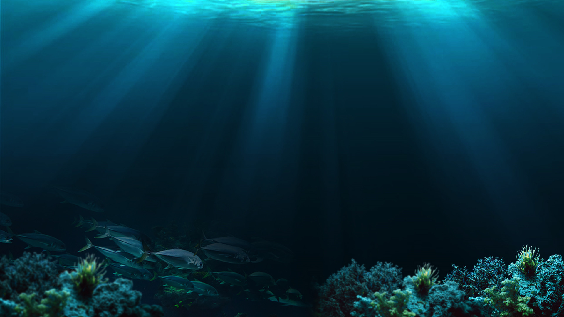 謝胖胖丶的個(gè)人主頁（背景預(yù)覽） - 主頁背景設(shè)置 - 站酷設(shè)計(jì)師謝胖胖丶原創(chuàng)素材 - 站酷ZCOOL