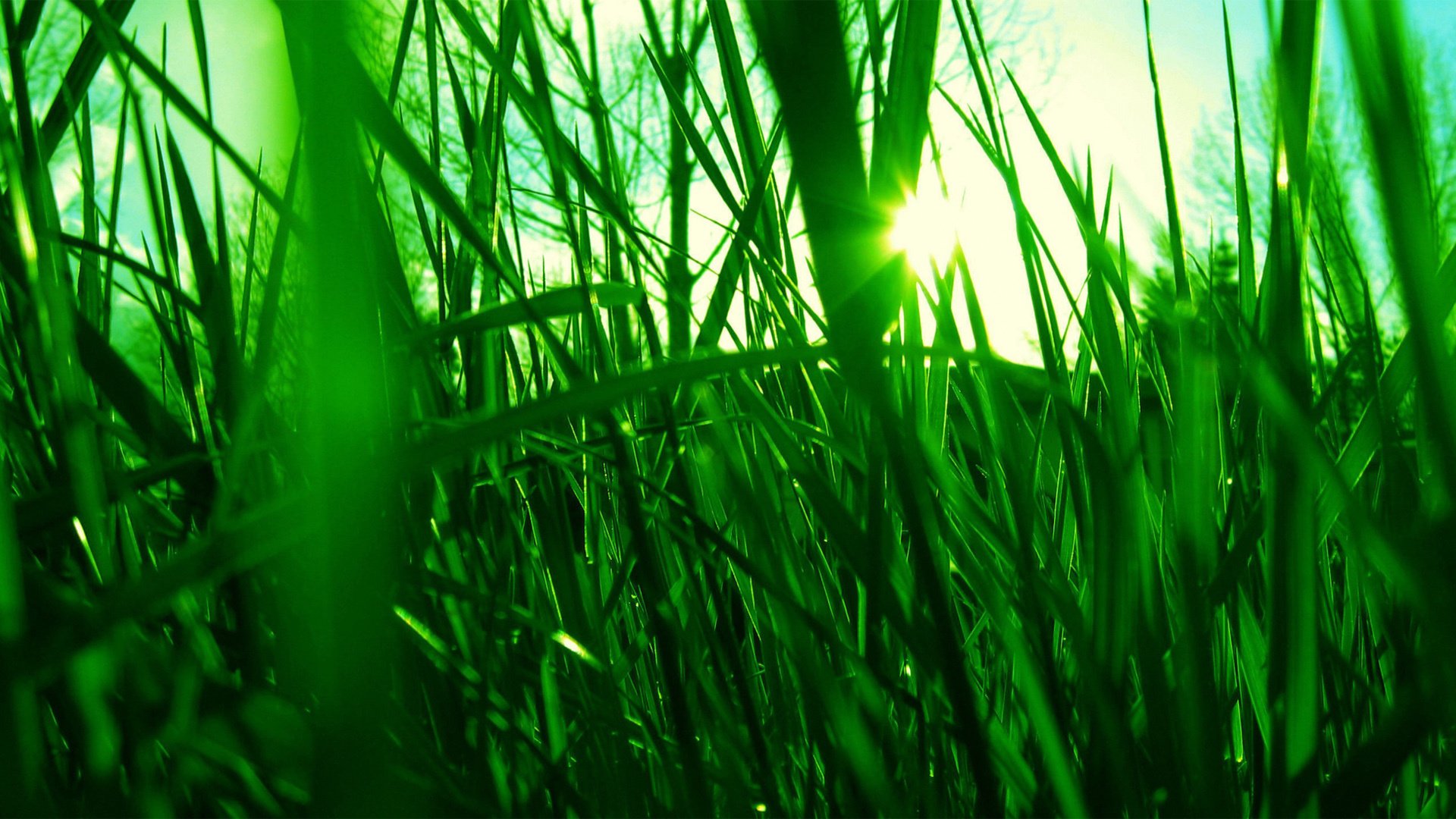 十六夜晴的個(gè)人主頁(yè)（背景預(yù)覽） - 主頁(yè)背景設(shè)置 - 站酷設(shè)計(jì)師十六夜晴原創(chuàng)素材 - 站酷ZCOOL