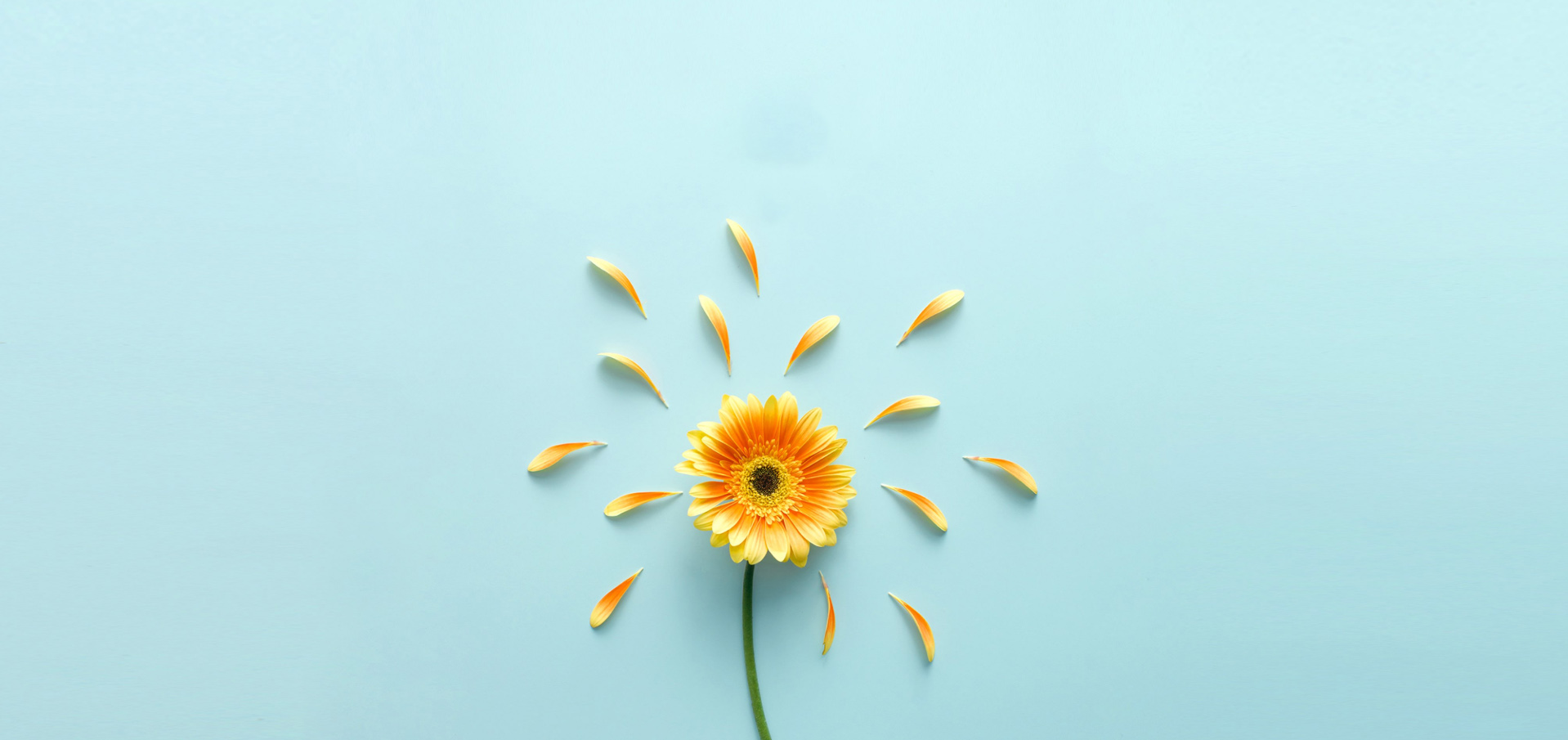 不忘初心ui的個(gè)人主頁(yè)（背景預(yù)覽） - 主頁(yè)背景設(shè)置 - 站酷設(shè)計(jì)師不忘初心ui原創(chuàng)素材 - 站酷ZCOOL