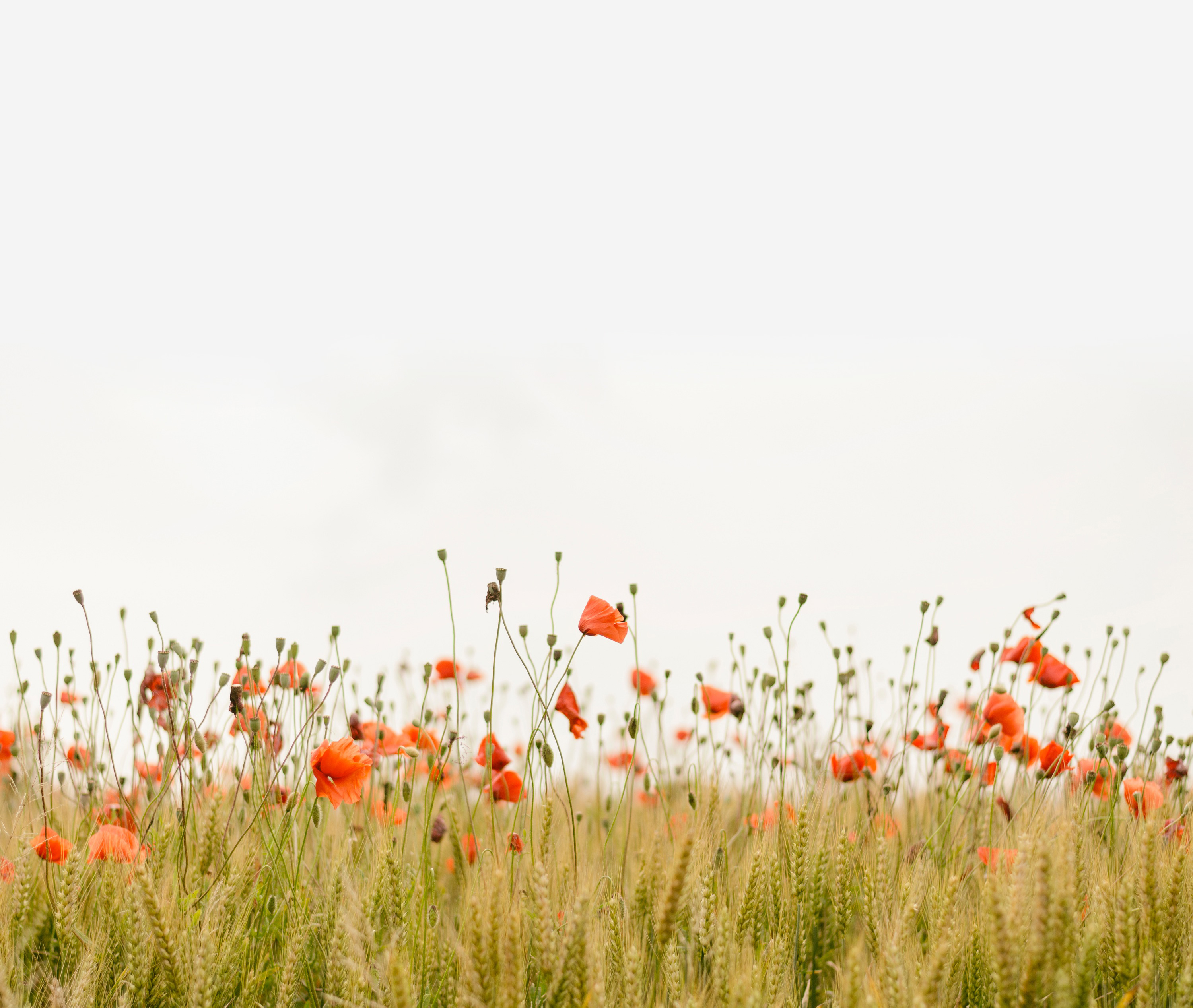 闫艺max的个人主页（背景预览） - 主页背景设置 - 站酷设计师闫艺max原创素材 - 站酷ZCOOL