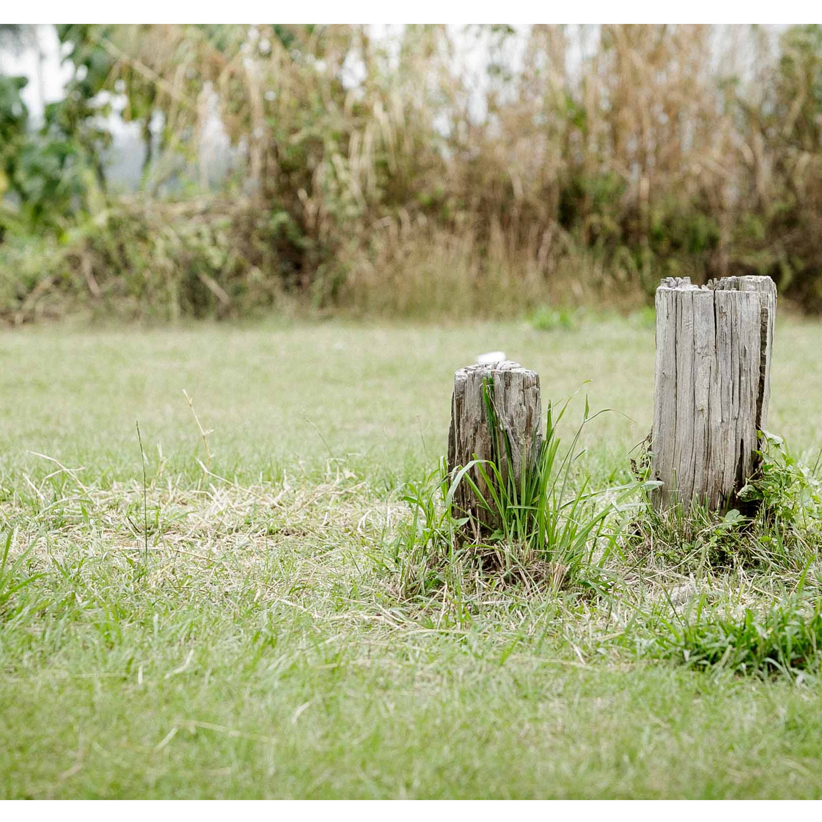 苏影纪的个人主页（背景预览） - 主页背景设置 - 站酷设计师苏影纪原创素材 - 站酷ZCOOL