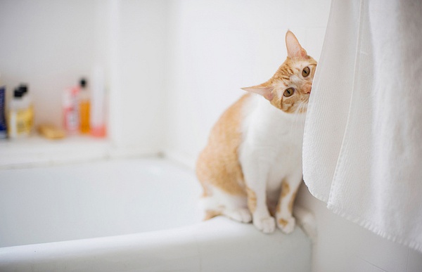 小小微塵的個(gè)人主頁(yè)（背景預(yù)覽） - 主頁(yè)背景設(shè)置 - 站酷設(shè)計(jì)師小小微塵原創(chuàng)素材 - 站酷ZCOOL