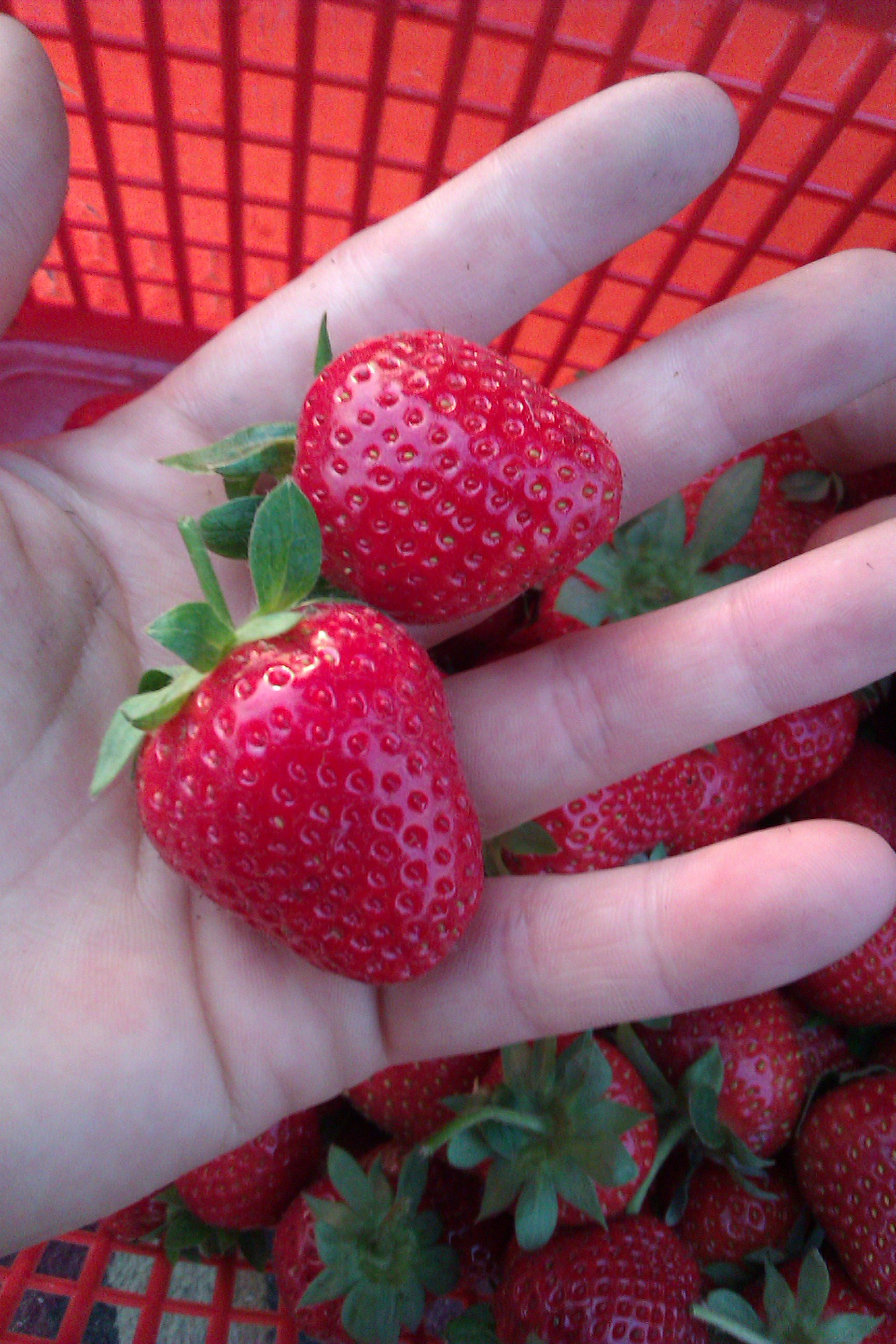 美是一種境界的個(gè)人主頁(yè)（背景預(yù)覽） - 主頁(yè)背景設(shè)置 - 站酷設(shè)計(jì)師美是一種境界原創(chuàng)素材 - 站酷ZCOOL