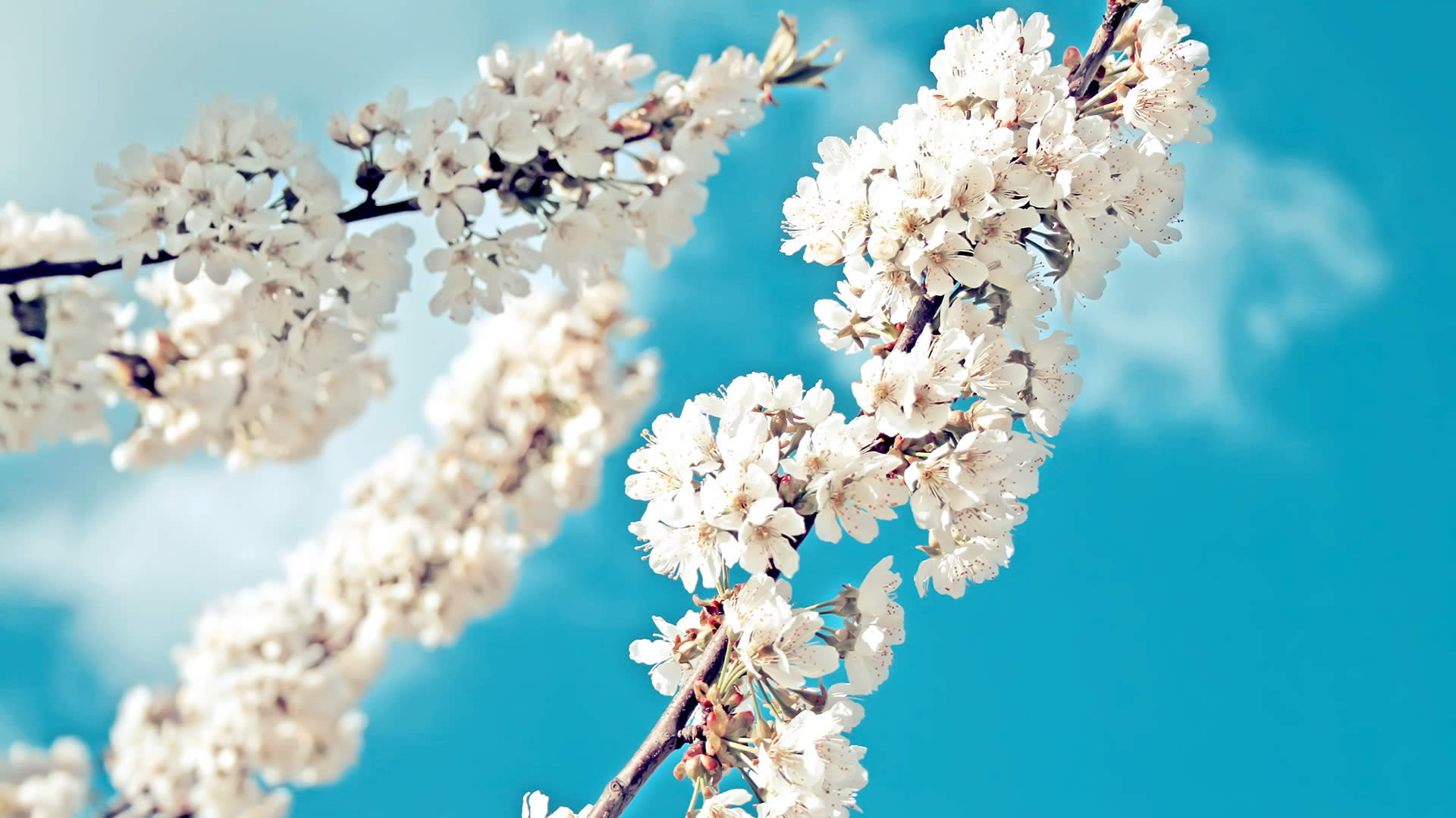 怯行客的个人主页（背景预览） - 主页背景设置 - 站酷设计师怯行客原创素材 - 站酷ZCOOL