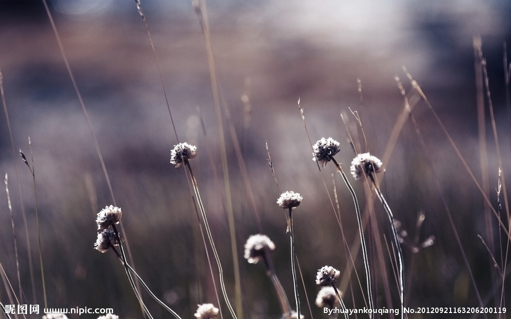 sjjwjs001的個人主頁（背景預(yù)覽） - 主頁背景設(shè)置 - 站酷設(shè)計師sjjwjs001原創(chuàng)素材 - 站酷ZCOOL