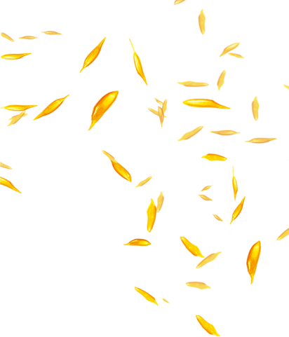 Luyy丿的个人主页（背景预览） - 主页背景设置 - 站酷设计师Luyy丿原创素材 - 站酷ZCOOL