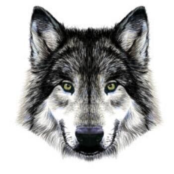 海阔1991的个人主页（背景预览） - 主页背景设置 - 站酷设计师海阔1991原创素材 - 站酷ZCOOL