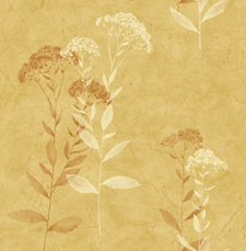 孙钰昱的个人主页（背景预览） - 主页背景设置 - 站酷设计师孙钰昱原创素材 - 站酷ZCOOL