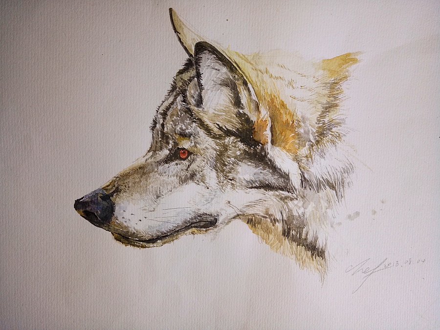 chef1的個(gè)人主頁（背景預(yù)覽） - 主頁背景設(shè)置 - 站酷設(shè)計(jì)師chef1原創(chuàng)素材 - 站酷ZCOOL