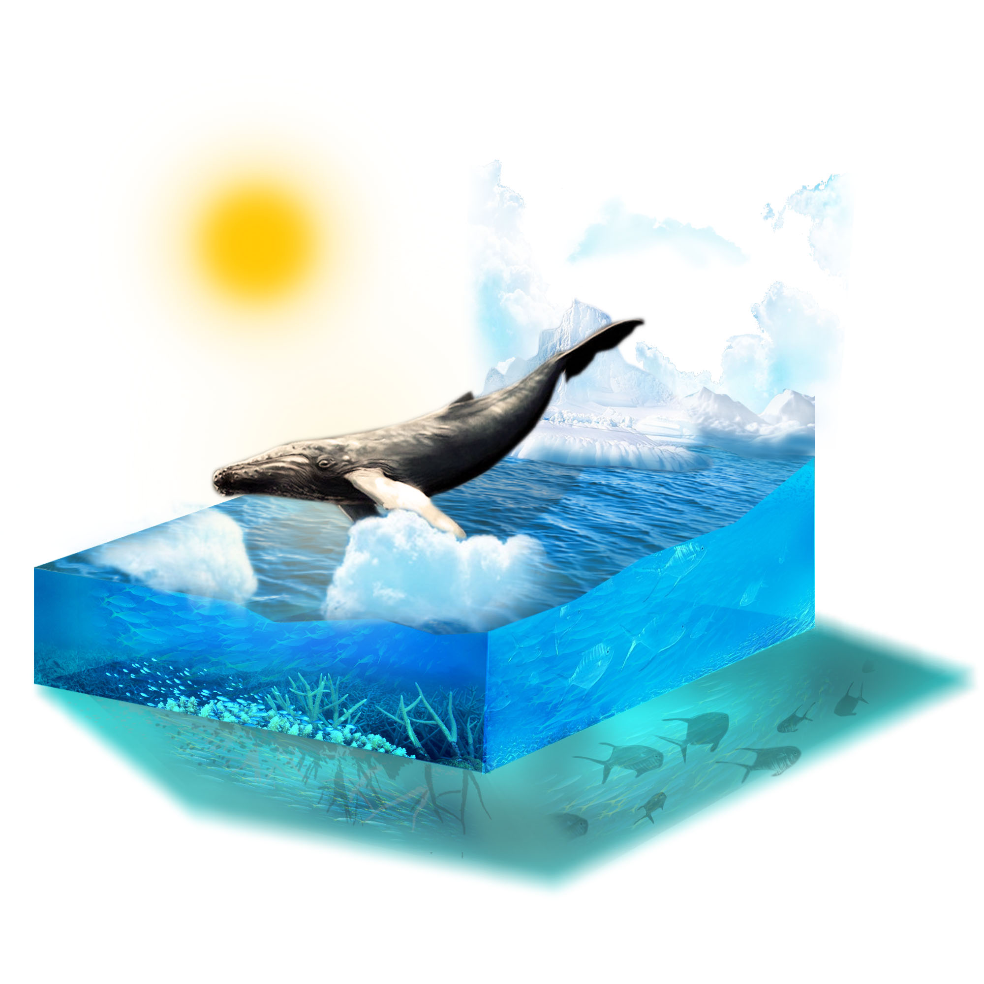 废材小设计的个人主页（背景预览） - 主页背景设置 - 站酷设计师废材小设计原创素材 - 站酷ZCOOL