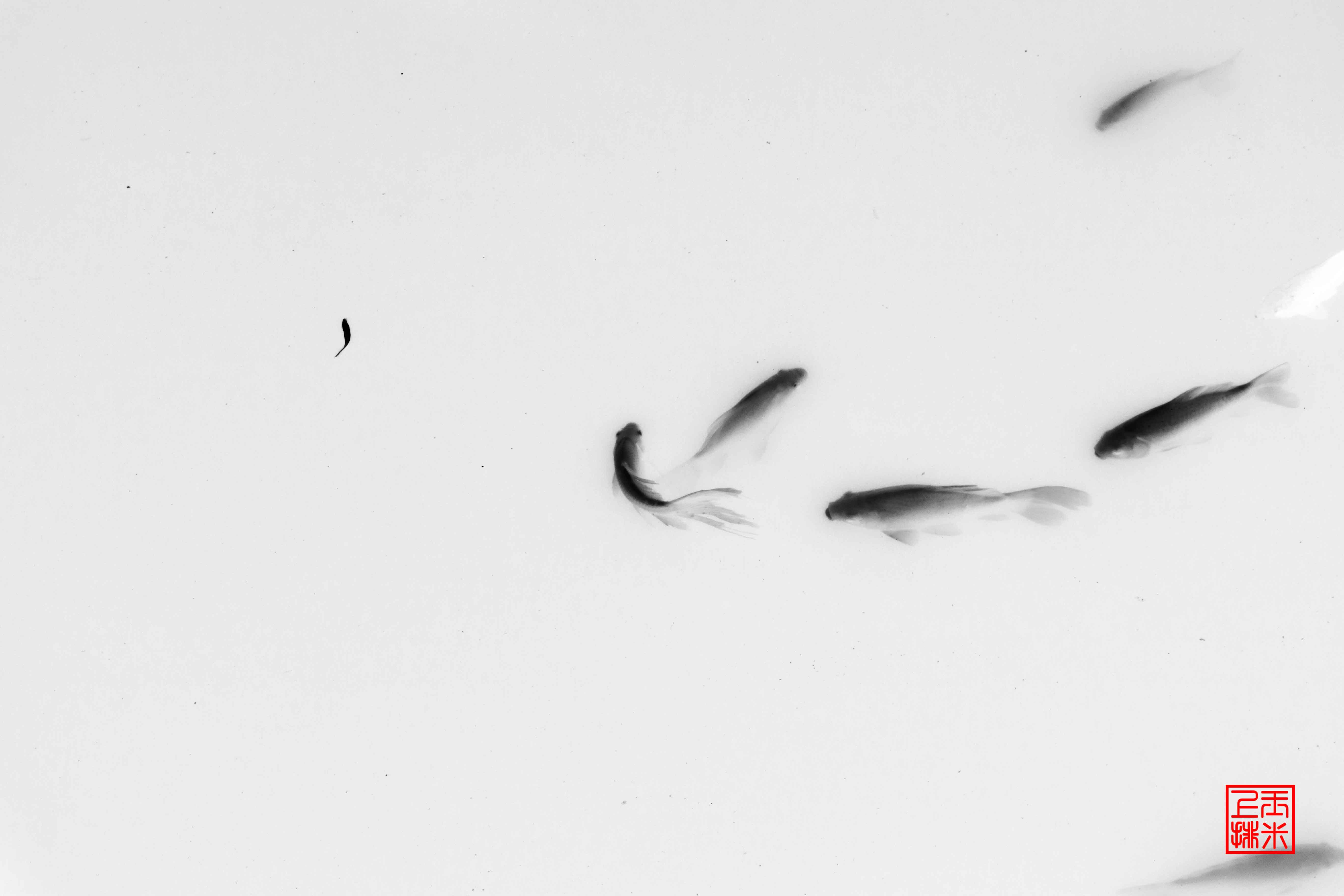 三水梅的个人主页（背景预览） - 主页背景设置 - 站酷设计师三水梅原创素材 - 站酷ZCOOL