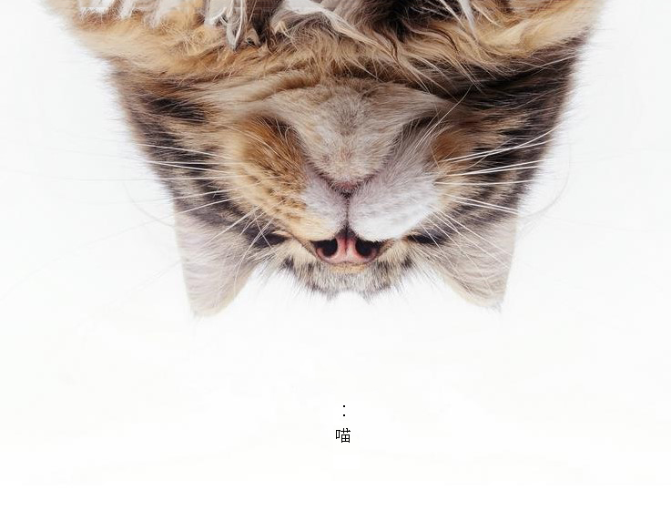 MangoooG的個人主頁（背景預(yù)覽） - 主頁背景設(shè)置 - 站酷設(shè)計師MangoooG原創(chuàng)素材 - 站酷ZCOOL