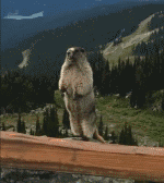 Mini_xu的个人主页（背景预览） - 主页背景设置 - 站酷设计师Mini_xu原创素材 - 站酷ZCOOL