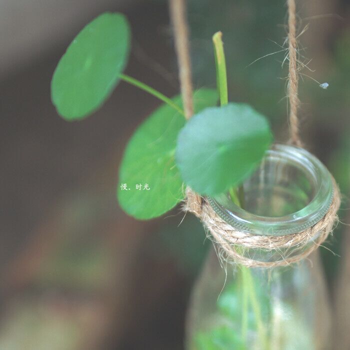 大臉貓瞇一會兒的個人主頁（背景預(yù)覽） - 主頁背景設(shè)置 - 站酷設(shè)計師大臉貓瞇一會兒原創(chuàng)素材 - 站酷ZCOOL