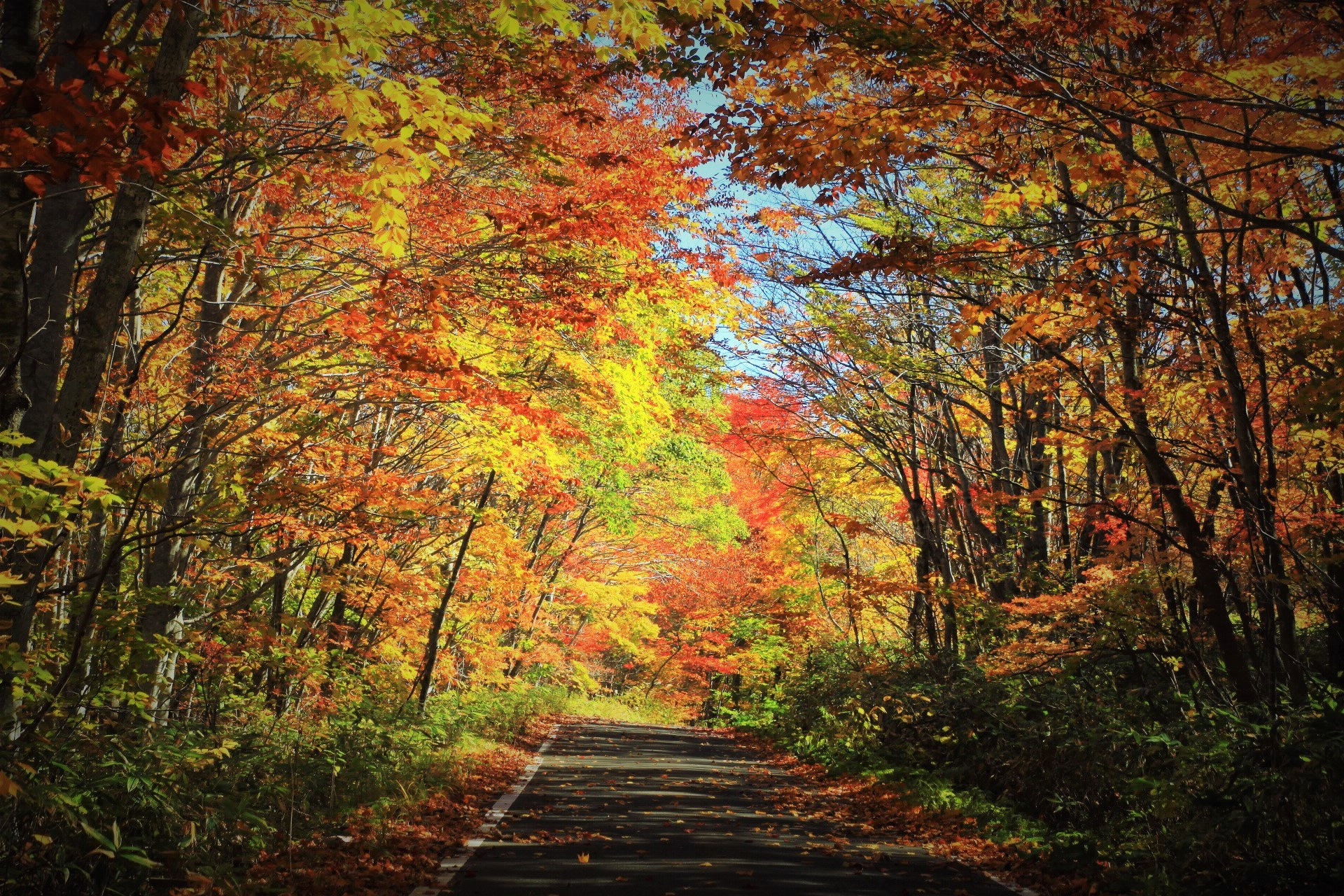 演繹的浮華的個人主頁（背景預覽） - 主頁背景設置 - 站酷設計師演繹的浮華原創(chuàng)素材 - 站酷ZCOOL