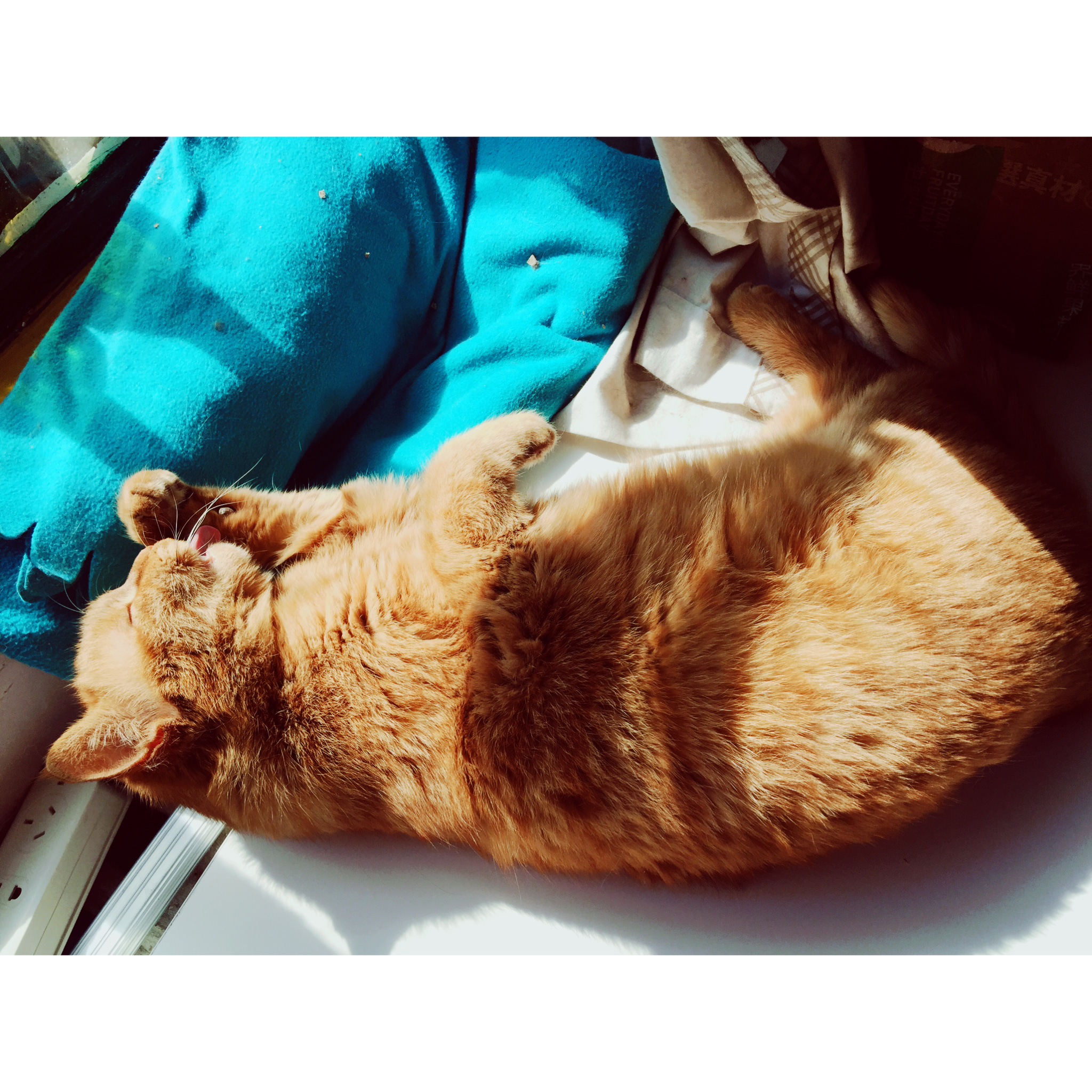 怪好看噠kino的個人主頁（背景預覽） - 主頁背景設(shè)置 - 站酷設(shè)計師怪好看噠kino原創(chuàng)素材 - 站酷ZCOOL