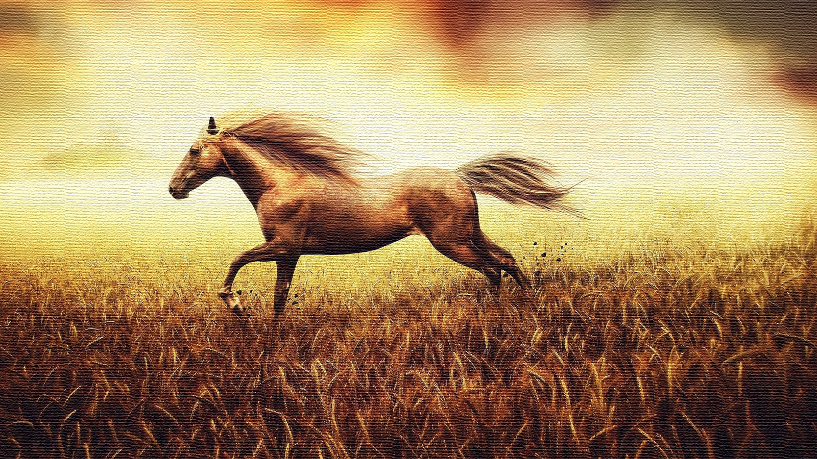 冀希的个人主页（背景预览） - 主页背景设置 - 站酷设计师冀希原创素材 - 站酷ZCOOL