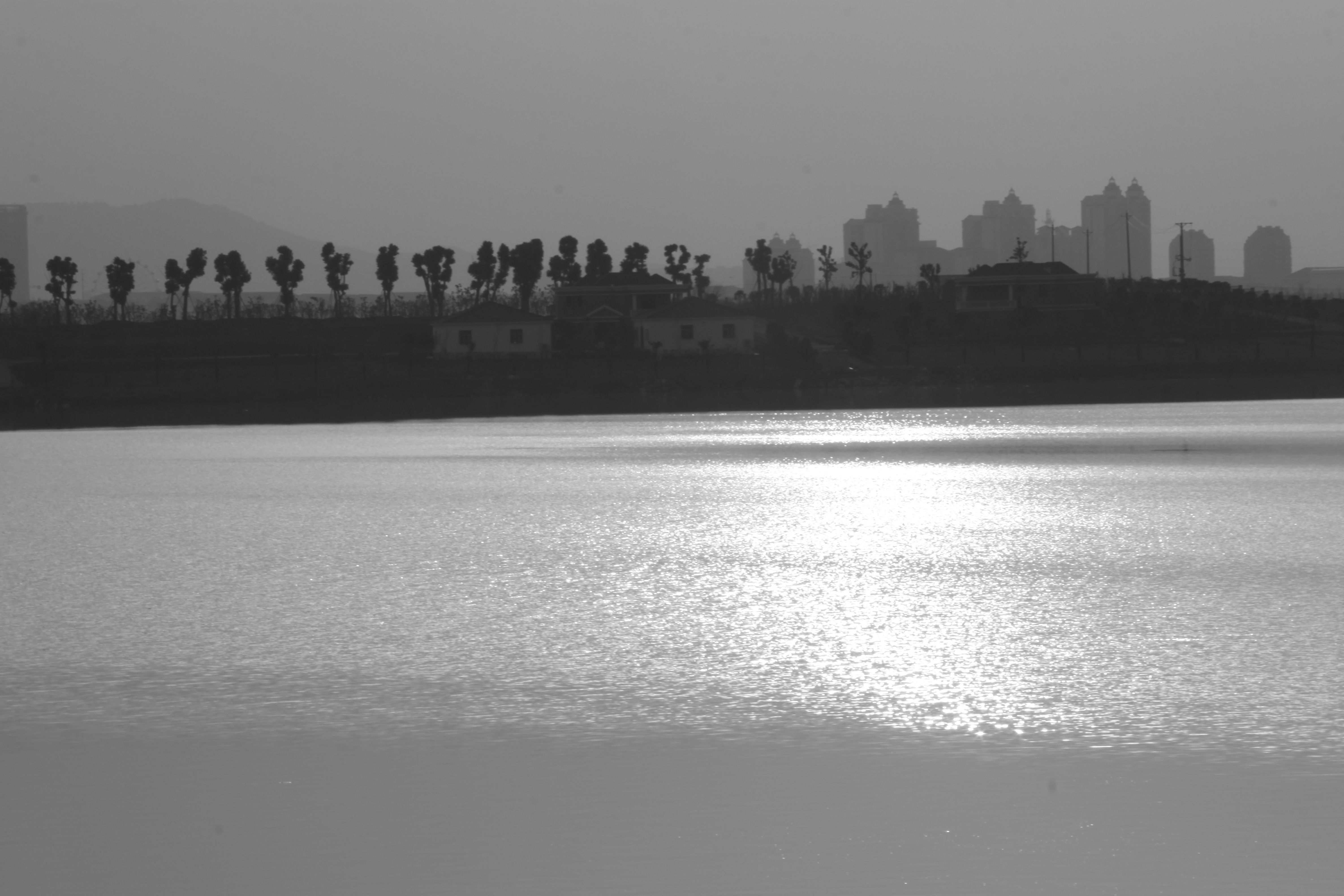 Alye的个人主页（背景预览） - 主页背景设置 - 站酷设计师Alye原创素材 - 站酷ZCOOL