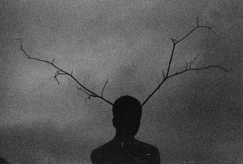 Xalam的个人主页（背景预览） - 主页背景设置 - 站酷设计师Xalam原创素材 - 站酷ZCOOL