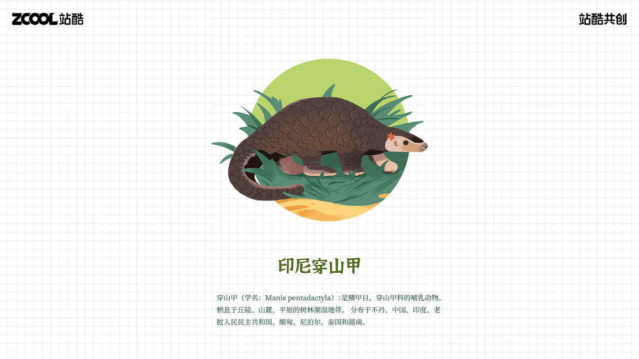 珍稀动物I插画I它们（图ZMzY1MTc3MjE2） - 艺术插画 - 站酷设计师小呱小呱原创素材 - 站酷ZCOOL