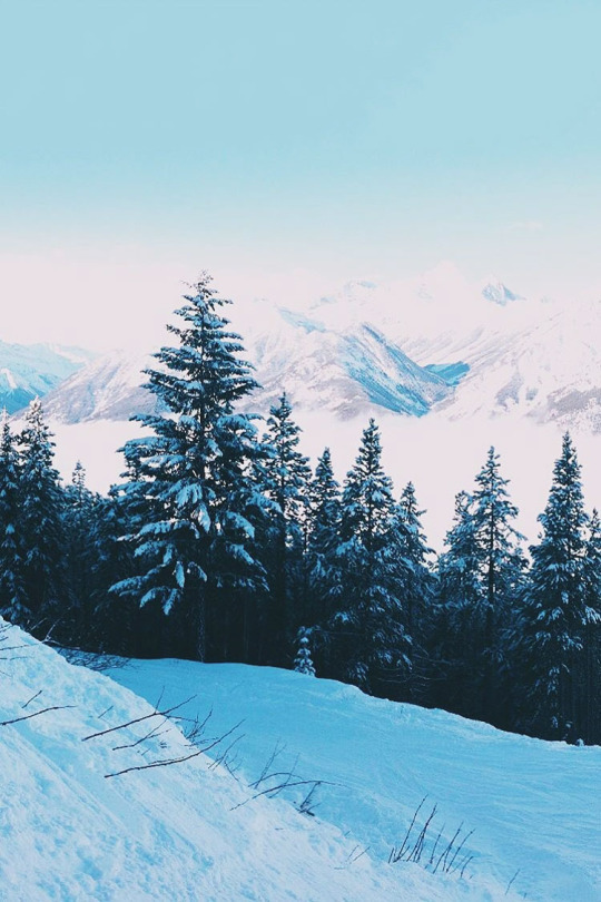 ZHAOBH的個(gè)人主頁(yè)（背景預(yù)覽） - 主頁(yè)背景設(shè)置 - 站酷設(shè)計(jì)師ZHAOBH原創(chuàng)素材 - 站酷ZCOOL