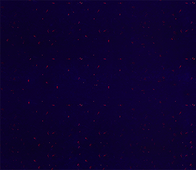 陈紫燕的个人主页（背景预览） - 主页背景设置 - 站酷设计师陈紫燕原创素材 - 站酷ZCOOL
