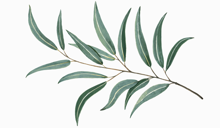 ylvss的個(gè)人主頁(yè)（背景預(yù)覽） - 主頁(yè)背景設(shè)置 - 站酷設(shè)計(jì)師ylvss原創(chuàng)素材 - 站酷ZCOOL