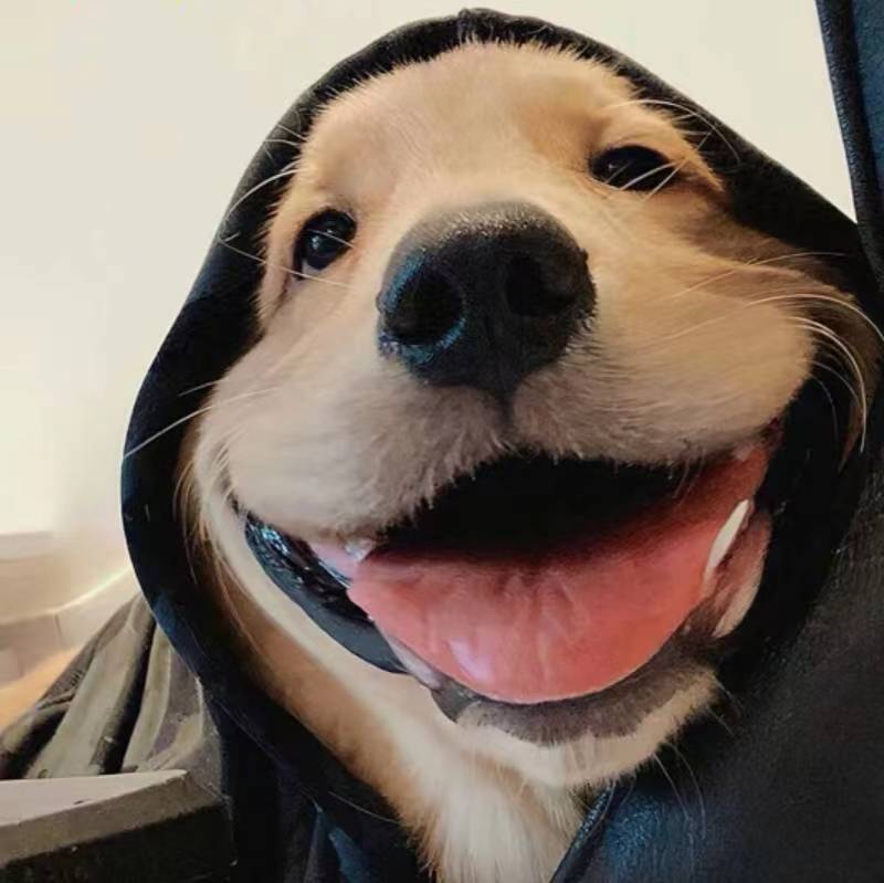 全糖很甜的個人主頁（背景預覽） - 主頁背景設(shè)置 - 站酷設(shè)計師全糖很甜原創(chuàng)素材 - 站酷ZCOOL