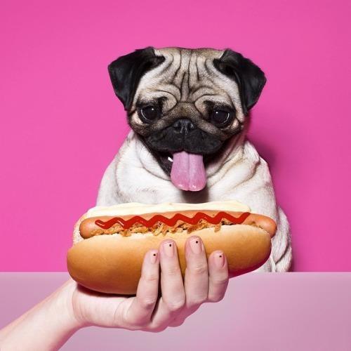 jessica26的個人主頁（背景預(yù)覽） - 主頁背景設(shè)置 - 站酷設(shè)計師jessica26原創(chuàng)素材 - 站酷ZCOOL