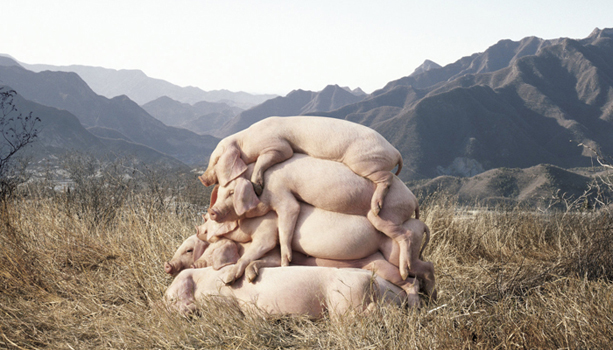 nomoc的个人主页（背景预览） - 主页背景设置 - 站酷设计师nomoc原创素材 - 站酷ZCOOL