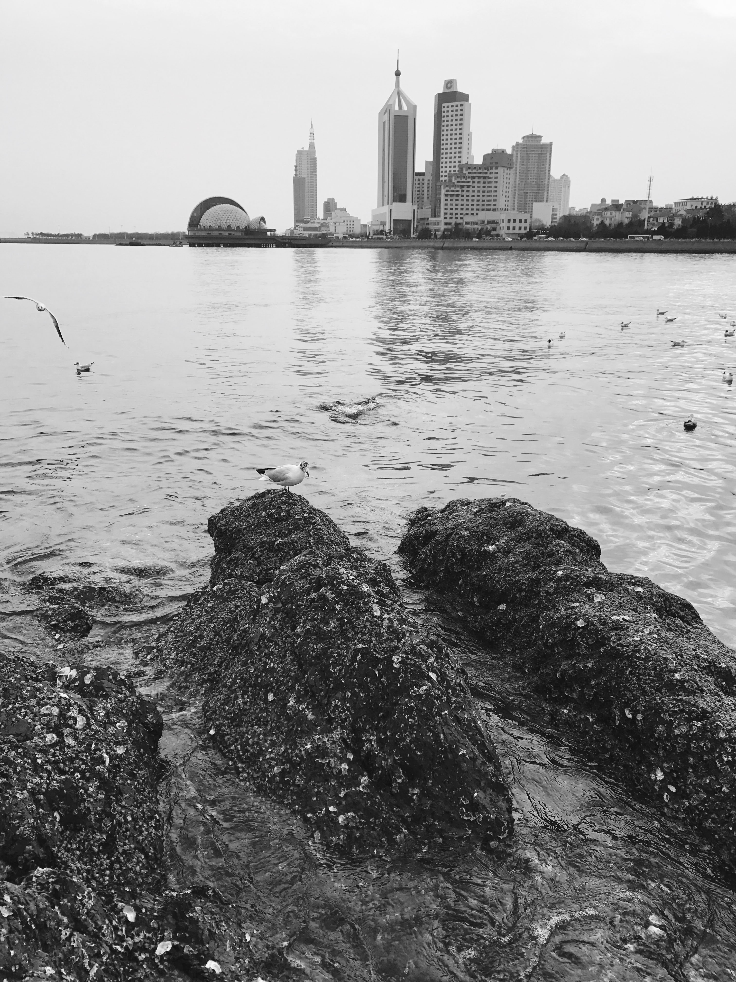 徐阿啊的個人主頁（背景預覽） - 主頁背景設置 - 站酷設計師徐阿啊原創(chuàng)素材 - 站酷ZCOOL