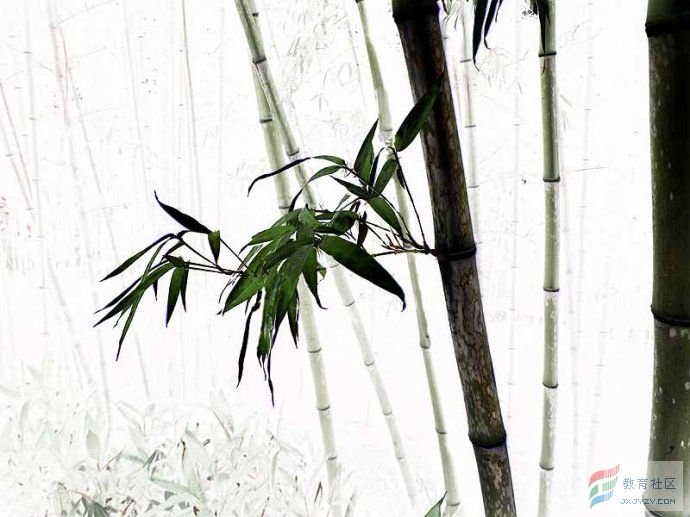 悟设的个人主页（背景预览） - 主页背景设置 - 站酷设计师悟设原创素材 - 站酷ZCOOL