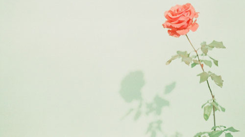 ZhoutingAAA的个人主页（背景预览） - 主页背景设置 - 站酷设计师ZhoutingAAA原创素材 - 站酷ZCOOL