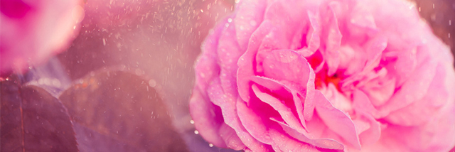 喜欢塞塞的猫的个人主页（背景预览） - 主页背景设置 - 站酷设计师喜欢塞塞的猫原创素材 - 站酷ZCOOL