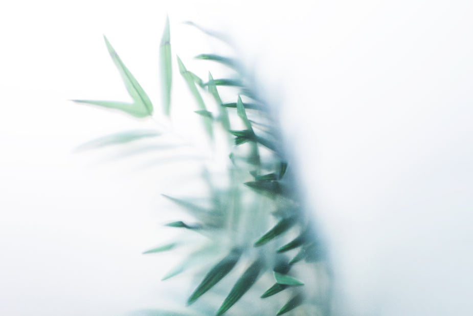 椰子白的個人主頁（背景預覽） - 主頁背景設置 - 站酷設計師椰子白原創(chuàng)素材 - 站酷ZCOOL