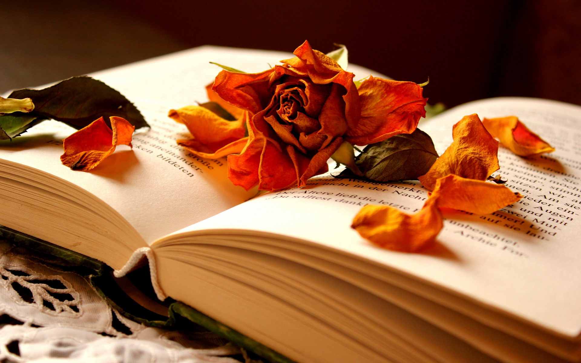 nicloudy的个人主页（背景预览） - 主页背景设置 - 站酷设计师nicloudy原创素材 - 站酷ZCOOL