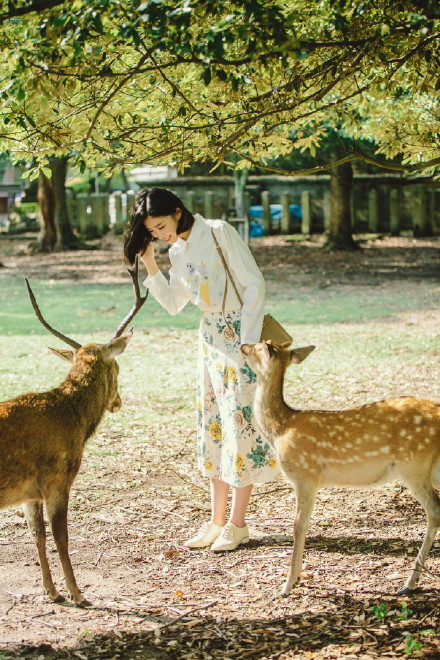 森岛南鲸的个人主页（背景预览） - 主页背景设置 - 站酷设计师森岛南鲸原创素材 - 站酷ZCOOL
