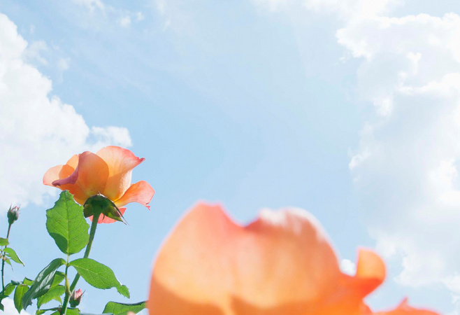 Y咚次大次的個(gè)人主頁（背景預(yù)覽） - 主頁背景設(shè)置 - 站酷設(shè)計(jì)師Y咚次大次原創(chuàng)素材 - 站酷ZCOOL