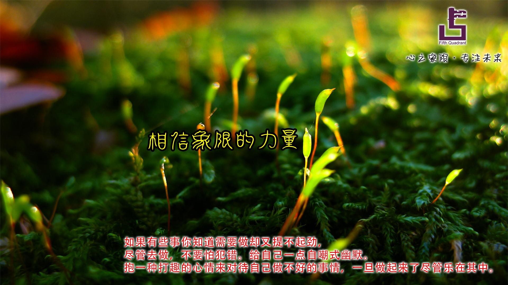 hhh860216的个人主页（背景预览） - 主页背景设置 - 站酷设计师hhh860216原创素材 - 站酷ZCOOL