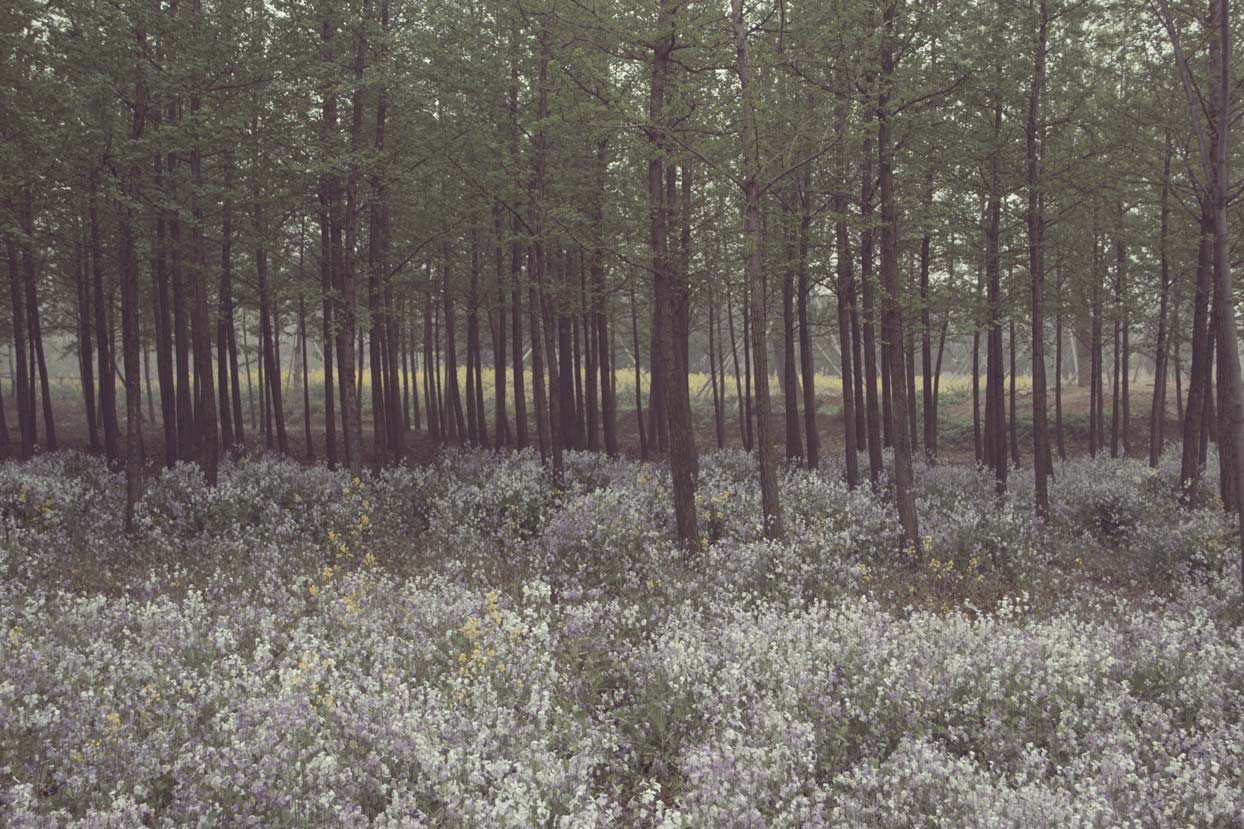 janedaring的個人主頁（背景預覽） - 主頁背景設置 - 站酷設計師janedaring原創(chuàng)素材 - 站酷ZCOOL